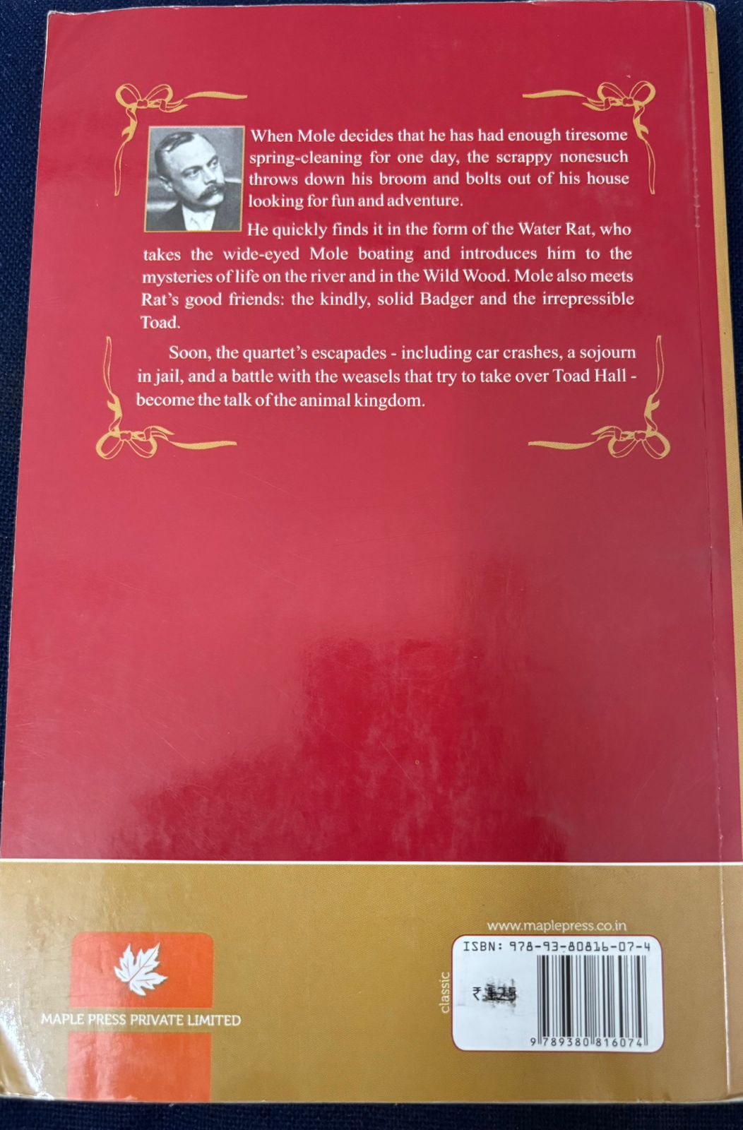 The Wind in the Willows by Kenneth Grahame – Classic Children’s Novel (Used Book) 2 The Wind in the Willows back